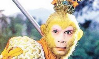 我和谁过一天好词好句 我和孙悟空过一天